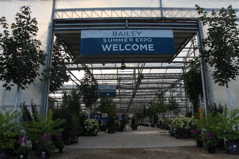 Baileys nursery - Bailey Nurseries has many options to bring new plants to market, including our well-known consumer brands, direct licensing to individual growers and custom licensing to other programs. Our Plant Development Team works with growers and retailers in North America and worldwide to gain market insight. Using that insight, we'll work with you to ...